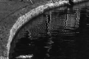 _DSC9438%20(1)