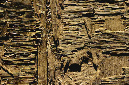 _DSC9412%20(1)
