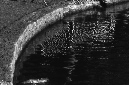 _DSC9438%20(1)