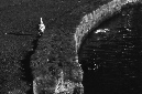 _DSC9447%20(1)