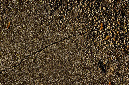 _DSC9479%20(1)