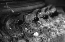 _DSC9514%20(1)