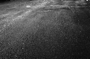 _DSC9561%20(1)