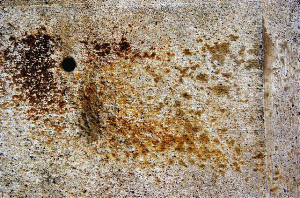 _DSC0084%20(1)