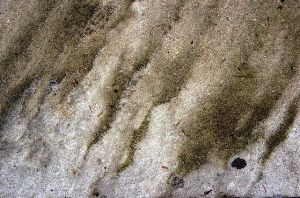 _DSC0088%20(1)