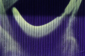 _DSC9629%20(1)