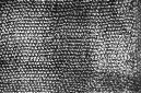 _DSC0001%20(1)