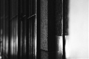 _DSC0014%20(1)
