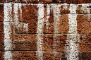 _DSC0026%20(1)