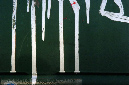 _DSC0060%20(1)