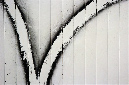 _DSC0066%20(1)