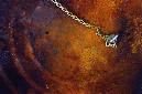 _DSC0077%20(1)
