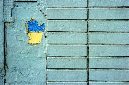 _DSC0082%20(1)