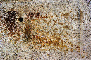 _DSC0084%20(1)