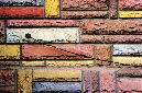 _DSC0086%20(1)