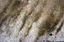 _DSC0088%20(1)
