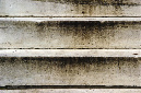 _DSC0099%20(1)