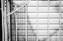 _DSC0132%20(1)