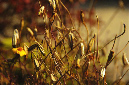 _DSC9909%20(1)