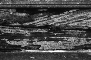 _DSC0192%20(1)