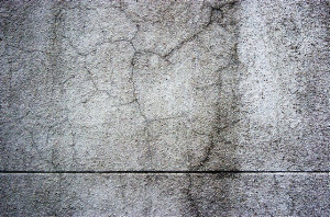 _DSC0251%20(1)