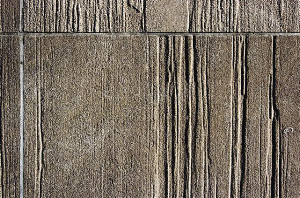 _DSC0316%20(1)