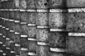 _DSC0328%20(1)