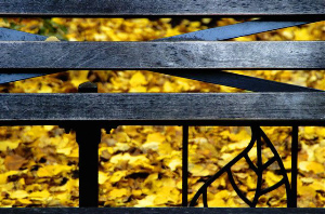 _DSC0372%20(1)