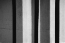 _DSC0181%20(1)