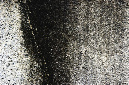 _DSC0189%20(1)