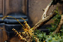 _DSC0214%20(1)