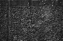 _DSC0243%20(1)
