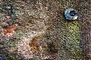 _DSC0246%20(1)