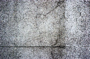 _DSC0251%20(1)