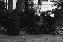 _DSC0256%20(1)