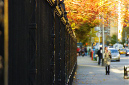 _DSC0261%20(1)