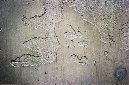 _DSC0278%20(1)
