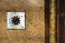 _DSC0322%20(1)