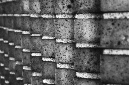 _DSC0328%20(1)