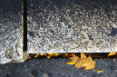 _DSC0338%20(1)