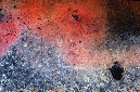 _DSC0340%20(1)