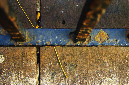 _DSC0356%20(1)