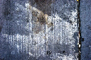 _DSC0357%20(1)