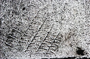_DSC0361%20(1)