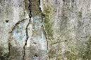 _DSC0365%20(1)