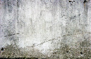 _DSC0368%20(1)