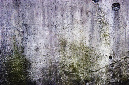 _DSC0370%20(1)