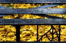 _DSC0372%20(1)