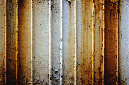 _DSC0373%20(1)