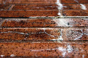 _DSC0377%20(1)